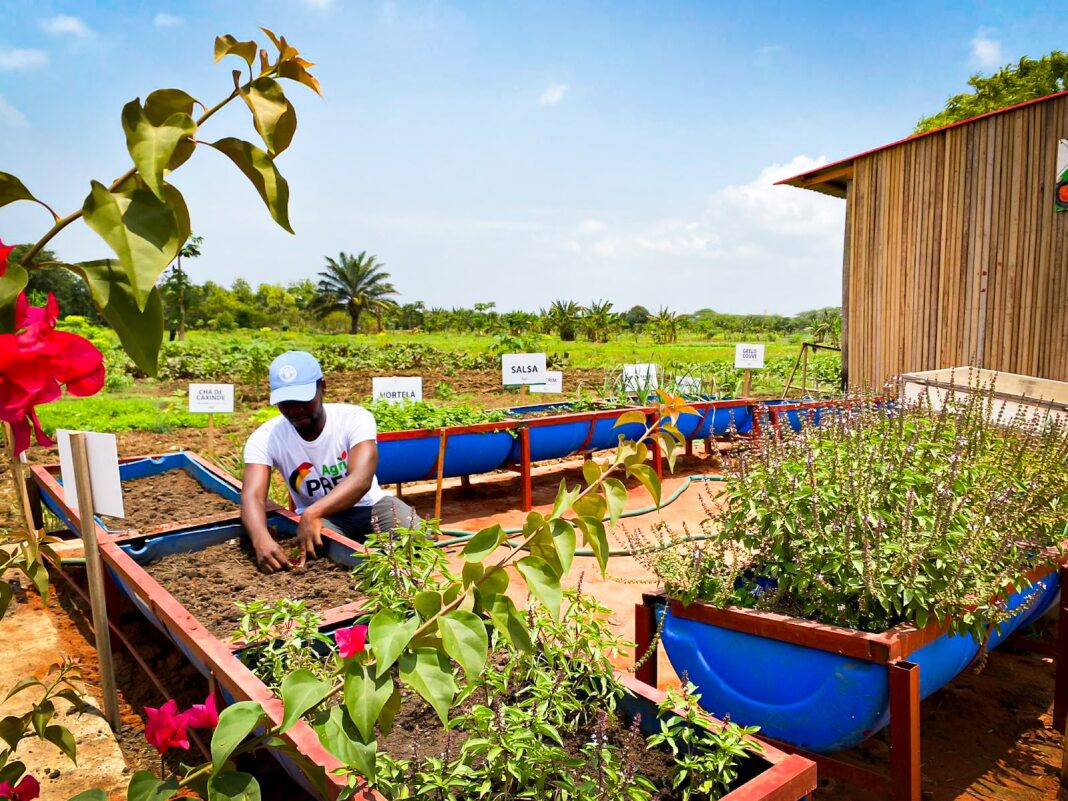 Community member working in a garden project